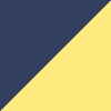 Navy/Gold